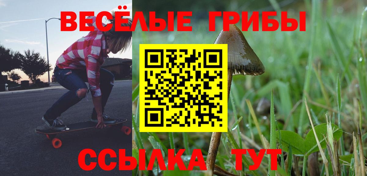 Люберцы  Псилоцибиновые грибы Psilocybine cubensis  Галлюциногенные грибы прущие грибы  Вход с VPN 